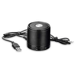 Speaker with microphone Pure
