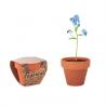 Terracotta pot '' Forget me not