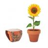 Terracotta pot '' Sunflower