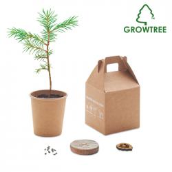 Set in legno di pino Growtree™