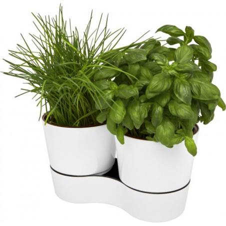 Vaso de cozinha duplo Herbs
