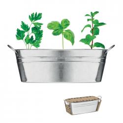 Zinc tub with 3 herbs seeds...