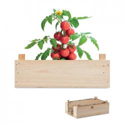 Kit in wooden crate Tomato
