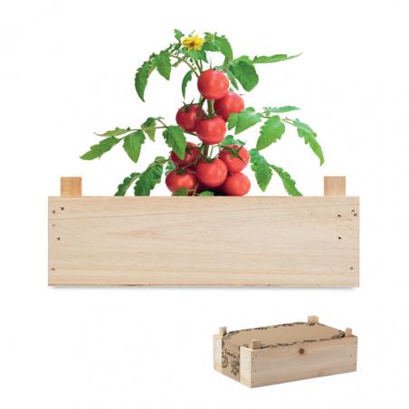 Kit tomate em caixa de madeira Tomato