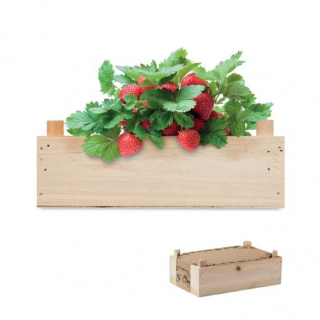 Kit morangos caixa de madeira Strawberry