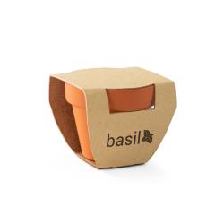 Clay pot with basil Basili