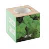 Herb pot wood mint Menta