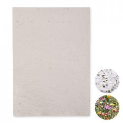 A4 wildflower seed paper...