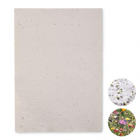 A4 wildflower seed paper sheet Asidi