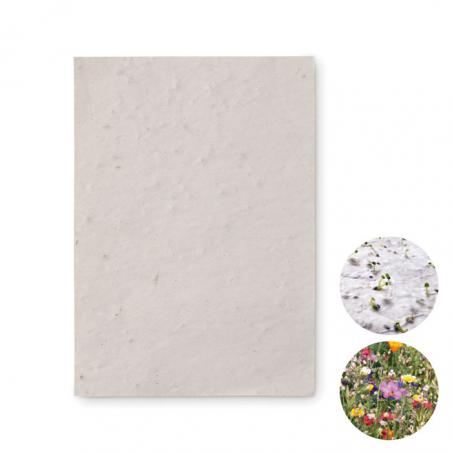 Papel sementes de flores a6 Asido