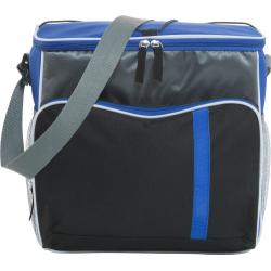 Polyester (600D) cooler bag...