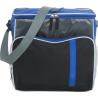 Polyester (600D) cooler bag Ravi