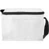 Polyester (210D) cooler bag Roland