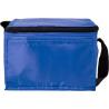 Polyester (210D) cooler bag Roland