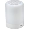 ABS speaker Leilani