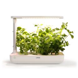 Indoor garden LH102