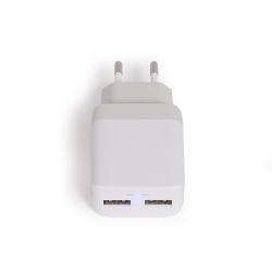 Fast charge USB charger TEA265