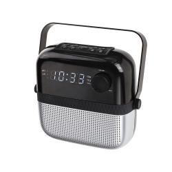 PLL FM alarm clock AR317