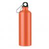 Bouteille en aluminium 750 ml Big moss