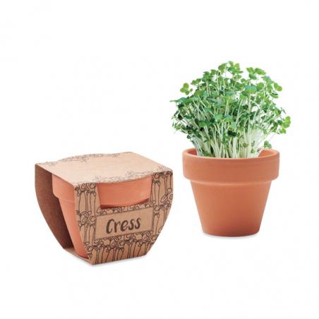 Semi di crescione in vaso Cress pot