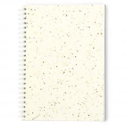 Seeds notebook Bitar