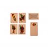 Spanish playing cards Brisca