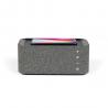 Speaker fast charge induction charger TES237