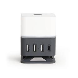 Station de charge USB TEA273