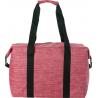 600D polyester cooler bag Alejandro