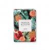 Saponette arricchite con olio doliva 160g Tropical blossom