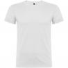 Beagle short sleeve men's t-shirt 