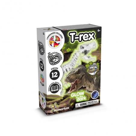 Educational game for children Fossil excavation kit i