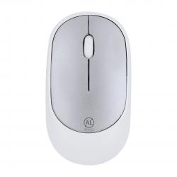 Souris Doryt RCS