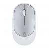 Mouse Doryt RCS