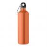 Single wall bottle 750ml Rebig moss