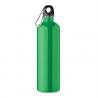 Single wall bottle 750ml Rebig moss