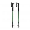 Walking poles set Brulen