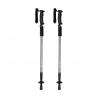 Walking poles set Brulen