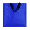 Bag Rhyker