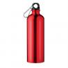 Bouteille en aluminium 750 ml Big moss