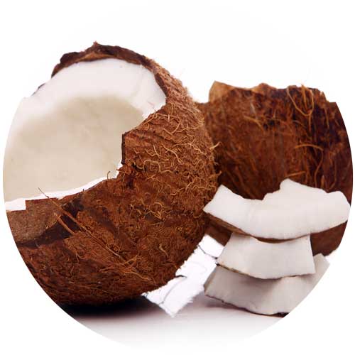 Coconut Timber