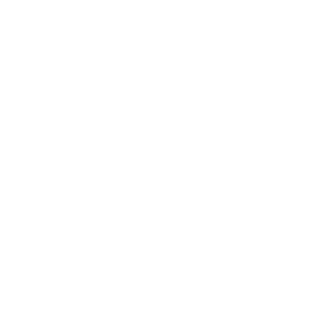 swiss peak logo